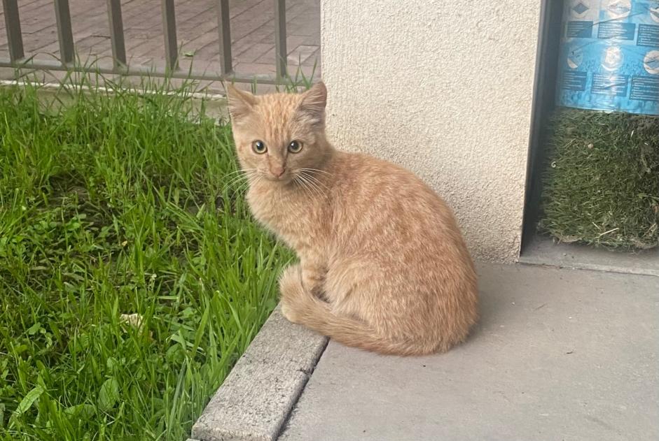 Discovery alert Cat  Unknown Nantes France